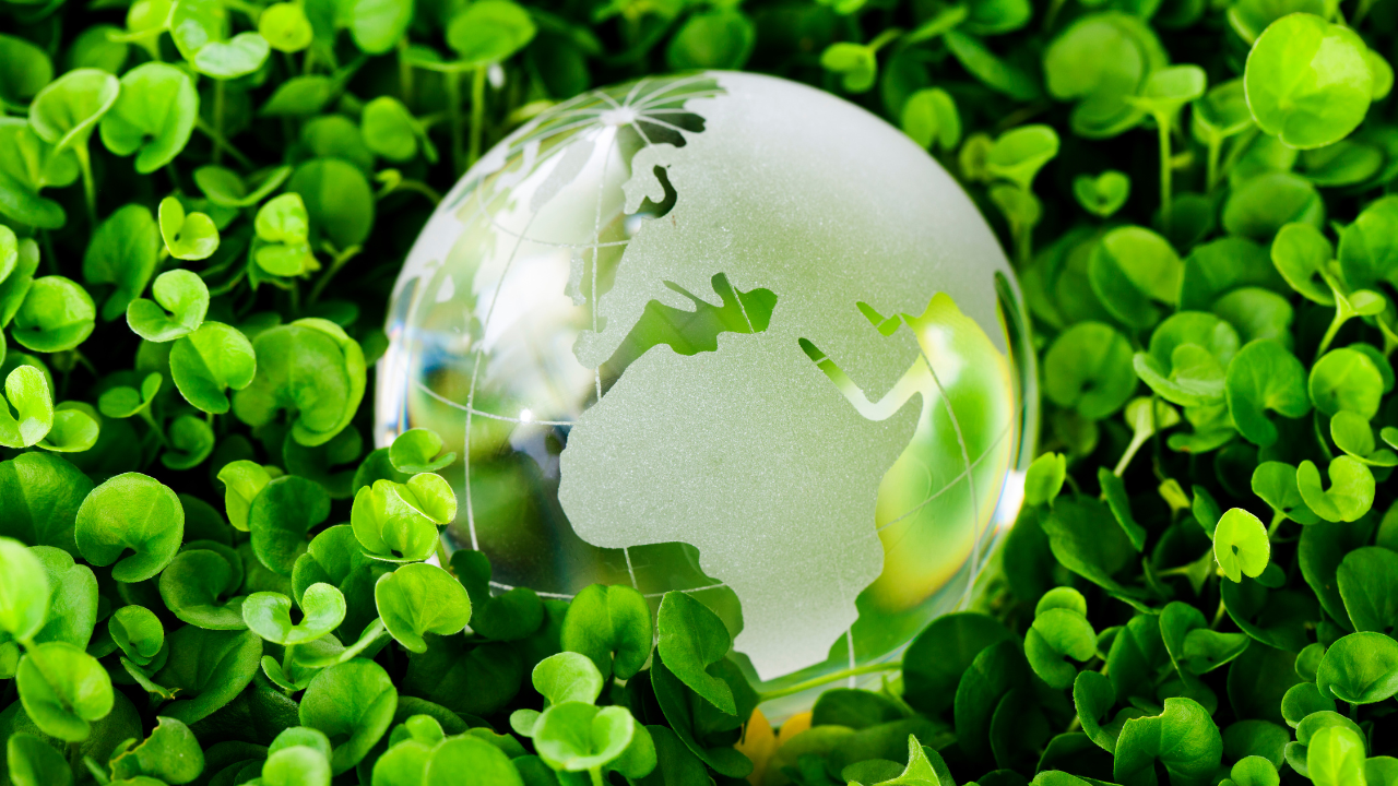 Sustainability Report Image